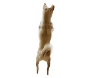 796236973