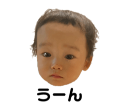 796254437