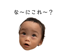 796254438