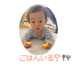 796254442