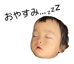 796254455