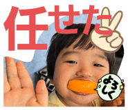 796256886