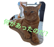 796267999