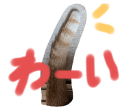 796268003
