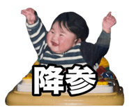 796268558