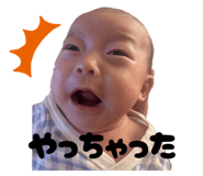 796271931