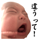 796271934