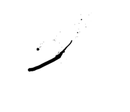 796277190