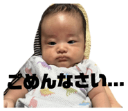 796277239