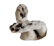 796278318
