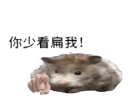 796280576