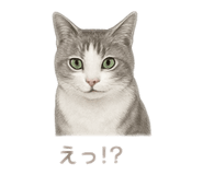 796286610