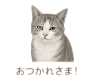 796286614