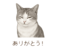 796286616