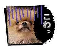 796290650