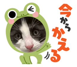 796295587