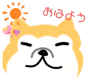796296889