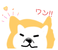 796296894
