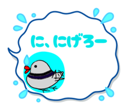 796306481