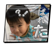 796313065