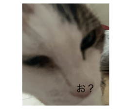 796316076