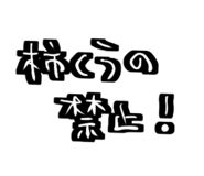 796326968