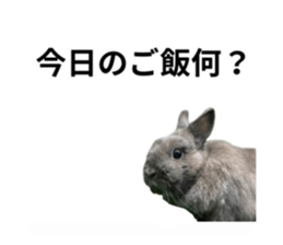 796328845