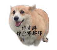 796338330