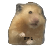 796338666
