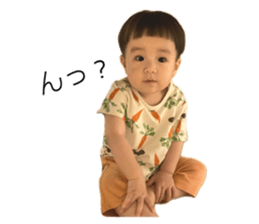 796341334