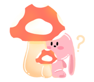 796347608