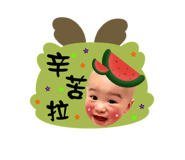 796356221