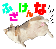 796369376