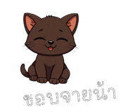 796372306