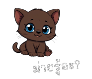 796372313