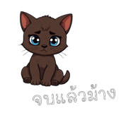 796372325