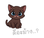 796372332