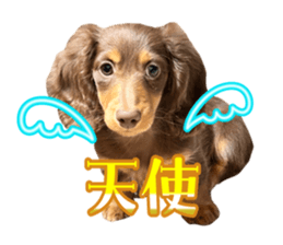 796376348