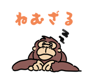 796398213