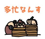 796398235