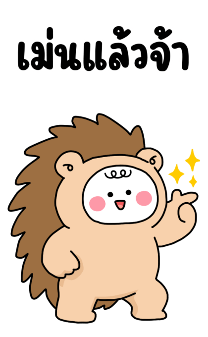 ลายที่ 27