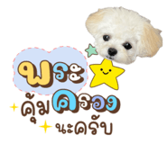 796416502