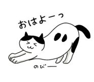 796419993