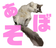 796427573