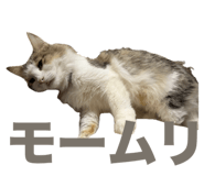 796427575