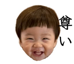 796433531