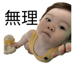 796433538