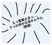 796444905