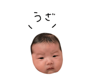 796445843