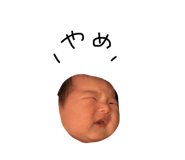 796445845